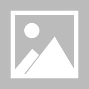 多多28官方- 凯恩回归白鹿巷，热刺旧将反戈一击定乾坤  